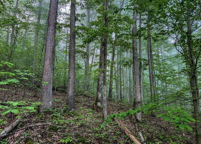 Property at TBD Shortline, New Martinsville, WV 26162