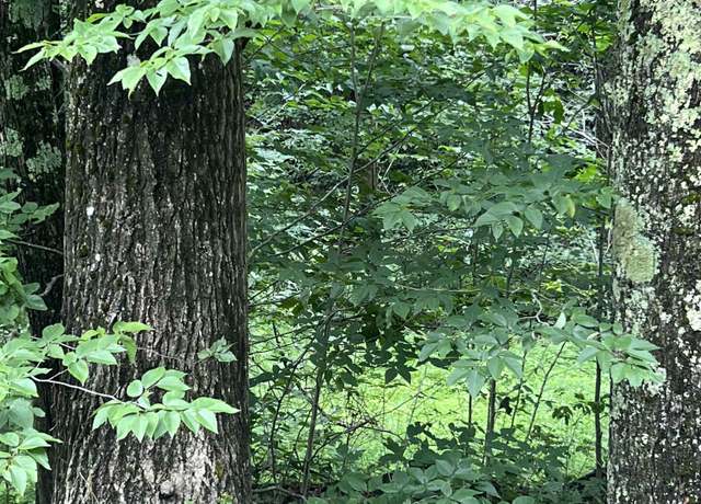 Property at TBD Mountaineer Highway Rt 38, Parsons, WV 26287