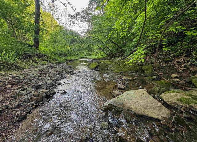 Property at TBD Right Hand, Pine Grove, WV 26419