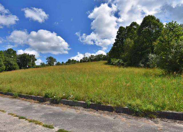 Property at Lot 38 Birch, Grafton, WV 26354