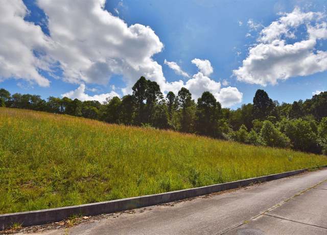 Property at Lot 39 Birch, Grafton, WV 26354