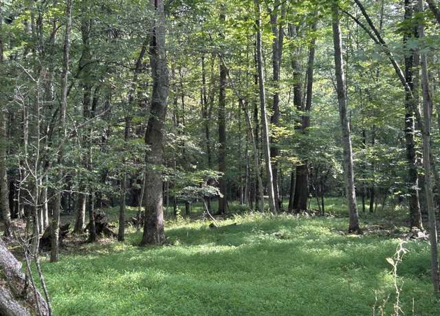 Property at 00 Bonner Mtn, Davis, WV 26260