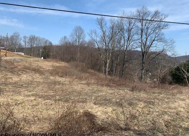 Property at TBD Rohrbough, Belington, WV 26250