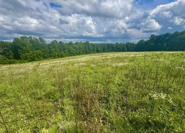 Property at TBD A North Preston Hwy, Bruceton Mills, WV 26525