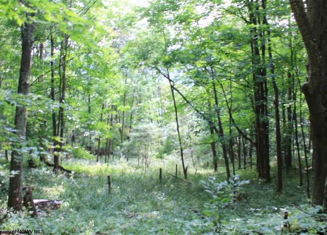 Property at Lot 7 High Mtn, Harman, WV 26270