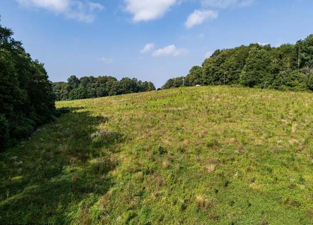 Property at TBD N Preston, Bruceton Mills, WV 26525