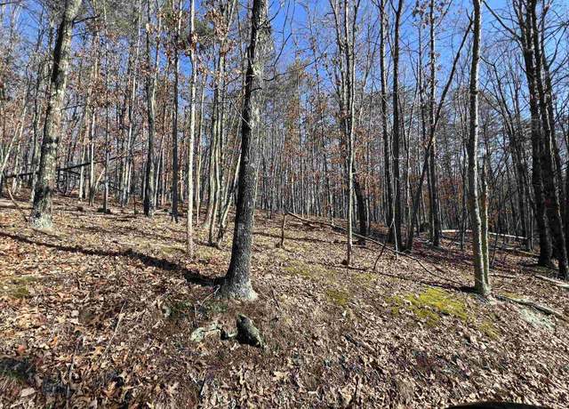 Property at TBD Recluse, Delray, WV 26714