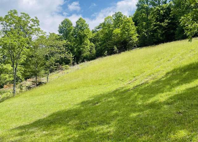 Property at 873 Arlie Simmons Rd, Franklin, WV 26807