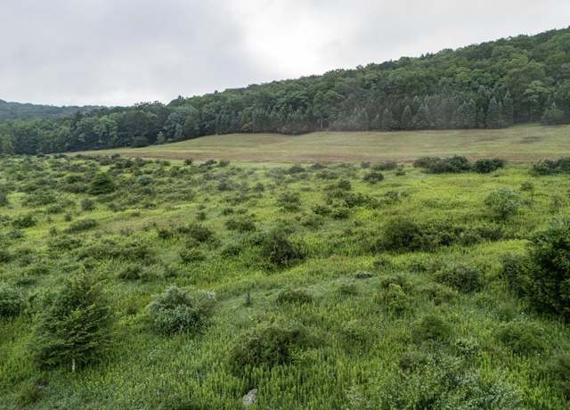Property at TBD Freeport, Terra Alta, WV 26764