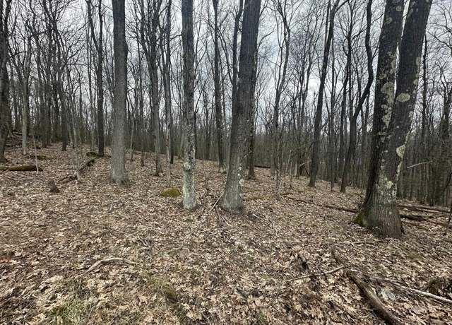 Property at Lot 108 & 109 Lakeview, Terra Alta, WV 26764