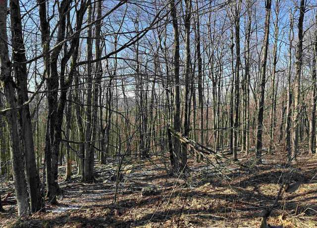 Property at Lot 171 Frostline, Davis, WV 26260