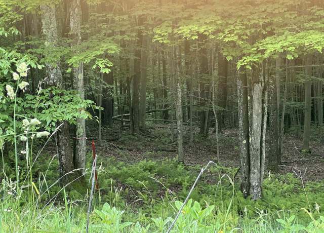 Property at Lot 171 Frostline, Davis, WV 26260