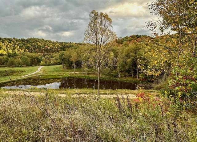 Property at Lot 12 Island, Junior, WV 26275