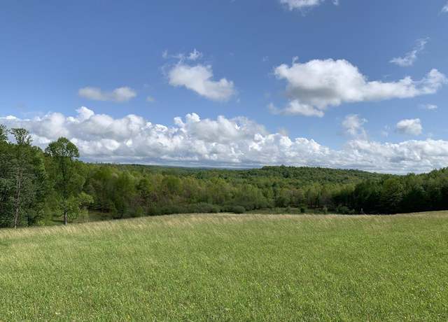 Property at 111 Briar Rdg, Ellamore, WV 26267