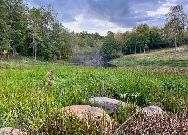 Property at Lot 15 Island Ave, Junior, WV 26245
