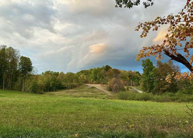 Property at Lot 17 Island Ave, Junior, WV 26275