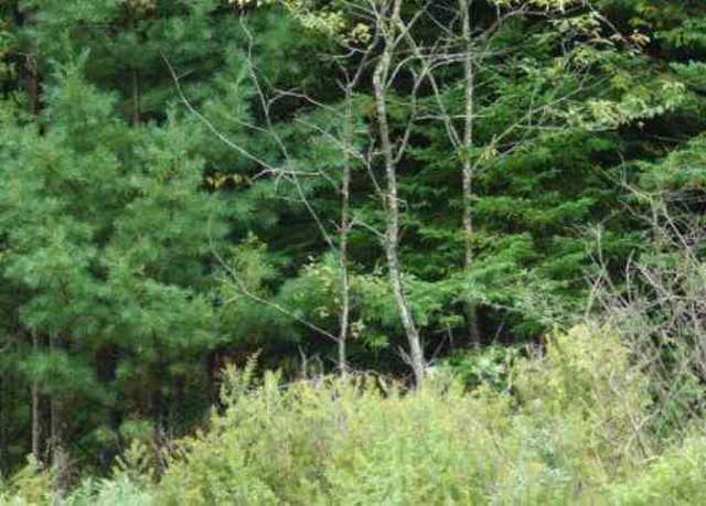 Property at 4 Flag Run, Davis, WV 26260