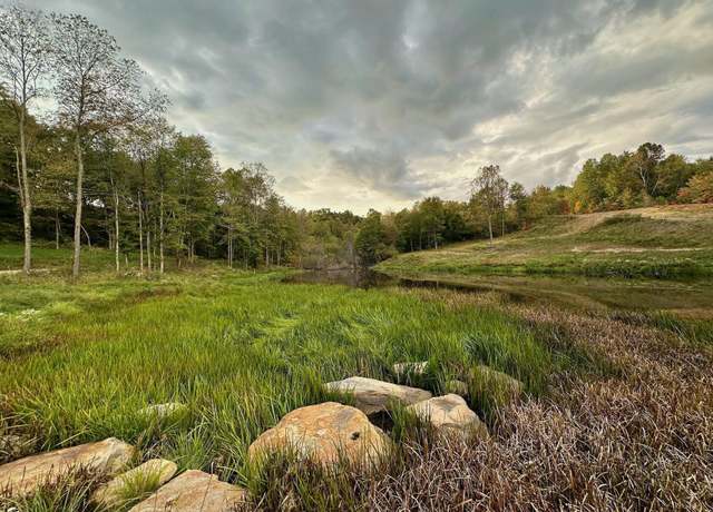 Property at Lot 21 Island Run, Junior, WV 26275