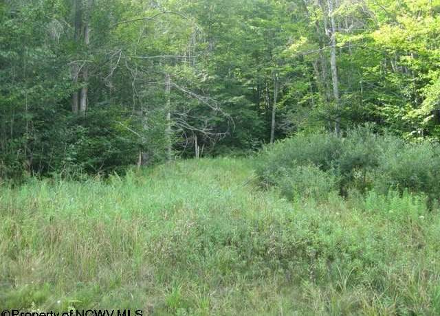 Property at Lot 3 Northlake Development, Davis, WV 26260