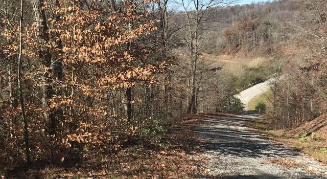 Photo of TBD Mud Lick, Roanoke, WV 26447