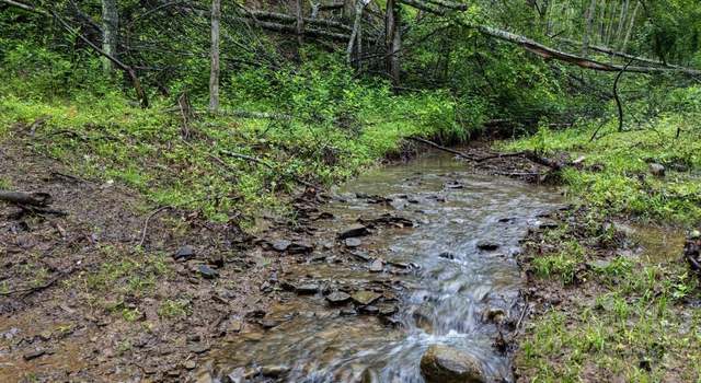Photo of TBD Trouser Leg, Wallace, WV 26448