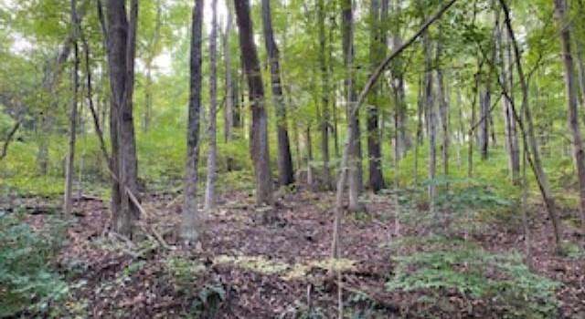 Photo of TBD Cross, Morgantown, WV 26505