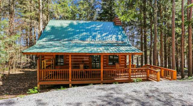 Photo of 79 Pines Dr, Davis, WV 26260