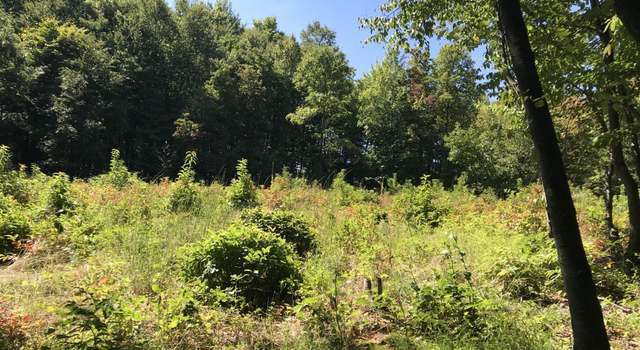 Photo of TB S Preston, Tunnelton, WV 26444