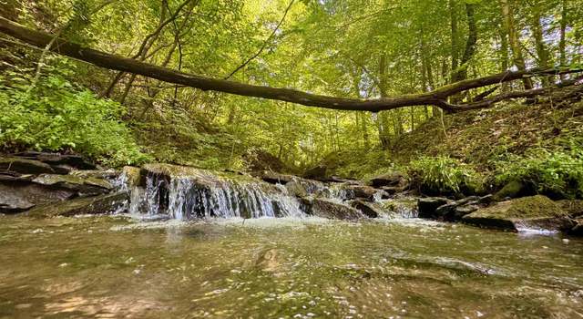 Photo of Tract 1 John Orr, Independence, WV 26374