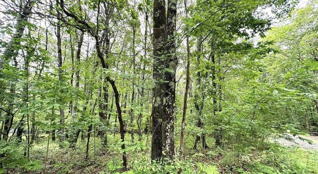 Photo of Lot 14 Ash, Terra Alta, WV 26764