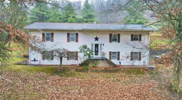 Photo of 553 Pogue Run, Burton, WV 26562