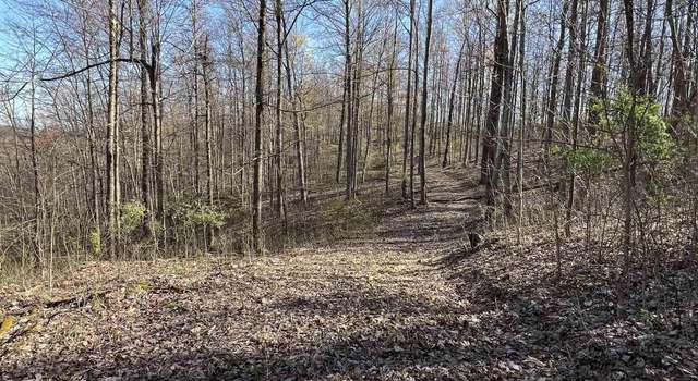 Photo of 0 Wolf Pen, Crawford, WV 26343