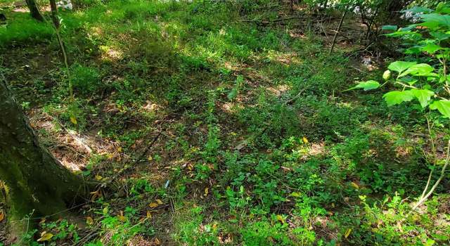 Photo of TBD Hendricks Hl, Hambleton, WV 26269
