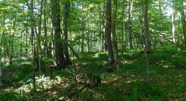 Photo of Lot 9 Cherry Wood, Terra Alta, WV 26764