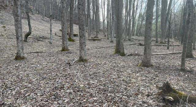 Photo of TBD Elk Riv, Monterville, WV 26282