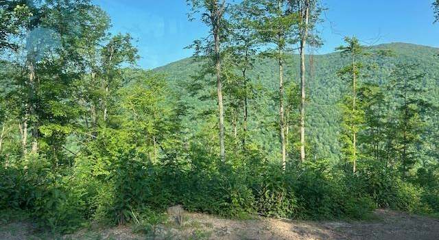 Photo of TBD Cheat Vly, Parsons, WV 26287