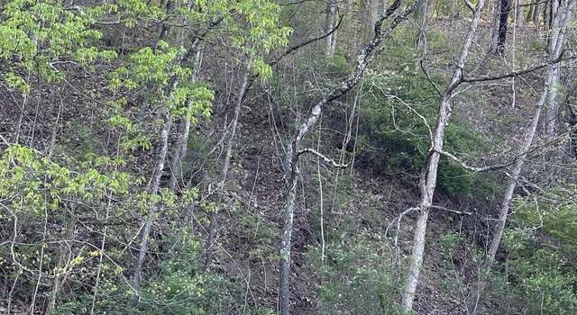Photo of TBD Webster, Grafton, WV 26354