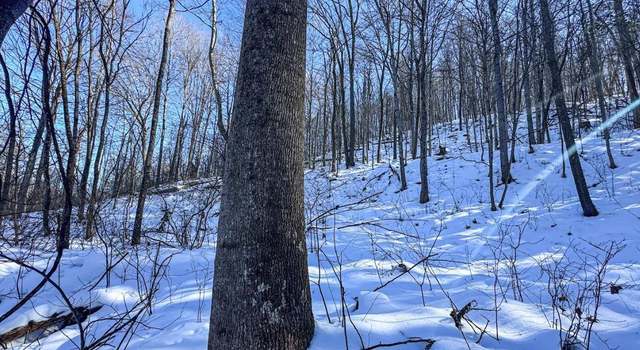 Photo of 786 Wilson Run, Pine Grove, WV 26419