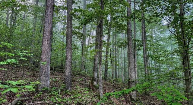 Photo of TBD Shortline, New Martinsville, WV 26162