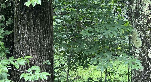 Photo of TBD Mountaineer, Parsons, WV 26287