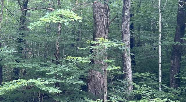 Photo of TBD Mountaineer, Parsons, WV 26287