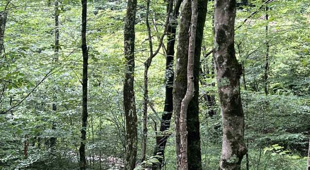 Photo of TBD Mountaineer, Parsons, WV 26287