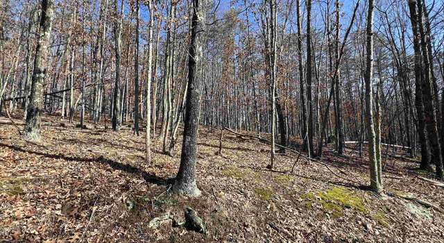 Photo of TBD Recluse, Delray, WV 26714