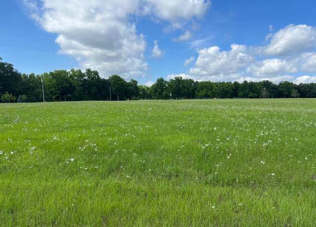 Property at Lot #15, 3.64 Acres, Oakbend Cir #15, Cairo, GA 39828