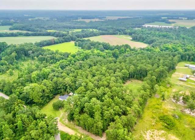 Property at 213 Mcnair Moore Rd, Climax, GA 39834