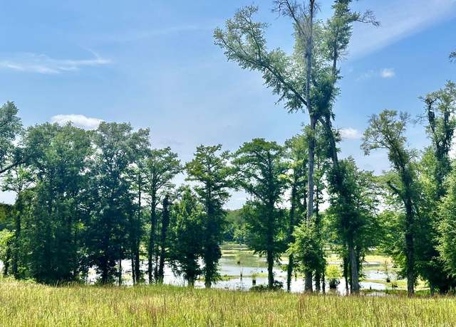 Property at 170 Back of The Moon Rd, Brinson, GA 39825