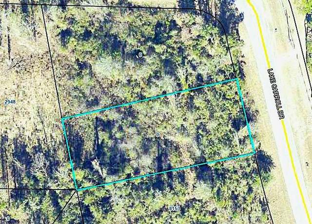 Property at 0000 Lake Carroll Dr Unit LC-60, Donalsonville, GA 39845