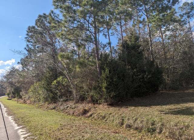 Property at 000 Sportsman Rd, Donalsonville, GA 39845