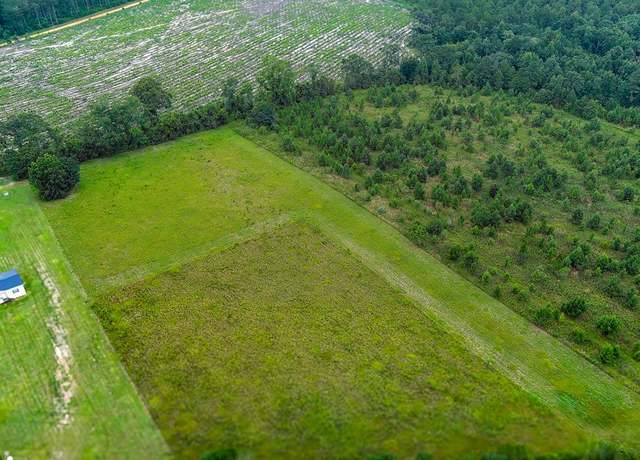 Property at 000 Gibson Rd, Climax, GA 39834