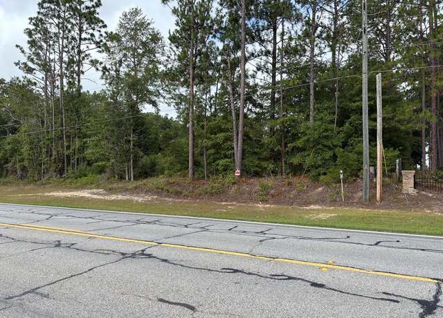 Property at 0 Newton Rd, Bainbridge, GA 39817